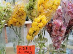 -溪岸路花鸟市场