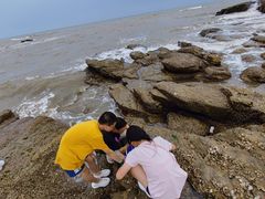 -日照海滨国家森林公园