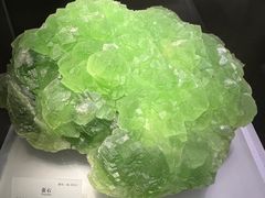 -湖南省地质博物馆