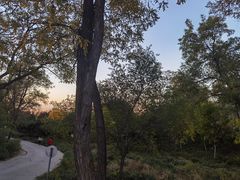 -北京西山国家森林公园