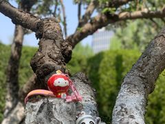 -元大都城垣遗址公园