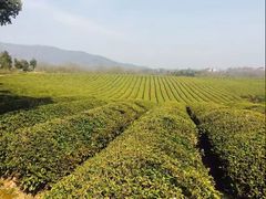 -敬亭山风景名胜区