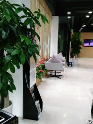 -CARR SALON
