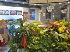 -洞庭家宴·头牌甲鱼(广渠门店)