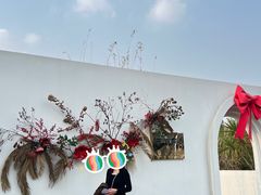 -白鹭湾湿地公园