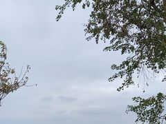 -池州市平天湖风景区