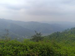 -莫干山风景区