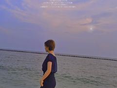 -合肥滨湖国家森林公园