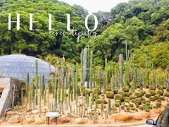 -深圳市中科院仙湖植物园
