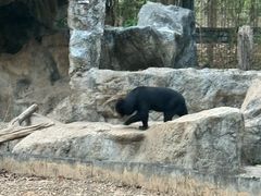 -清迈夜间动物园