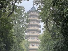 -灵谷景区