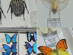 -烟台市博物馆