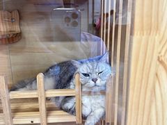 -艺味深尝(云锦路店)