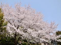 -苏州上方山国家森林公园