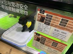 -宠物世家(仲盛世界商城店)