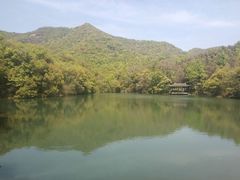 -杭州半山国家森林公园