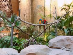 -杭州开元森泊度假乐园