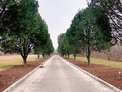-秦始皇帝陵博物院-丽山园