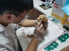 -瑞派宠物医院·24h·骨外科·皮肤科·全科宠物医疗转诊中心(沈阳浑南院)