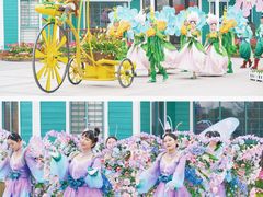 -荷兰花海