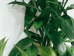 -要德火锅(鼓楼店)