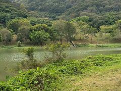 -风云岭森林公园