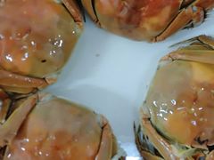 -锦粤宫·精致粤菜(深圳北站店)
