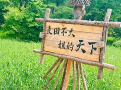 -沈阳植物园