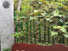 -石排湾郊野公园