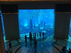 -亚特兰蒂斯水世界冒险乐园