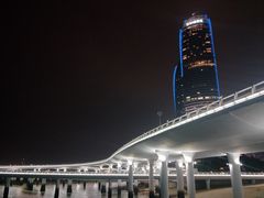 -演武大桥观景平台