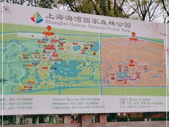 -上海海湾国家森林公园