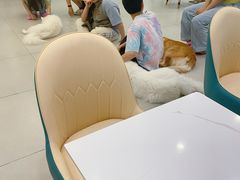 -安格丽娜·狗咖·猫咖羊驼咖(春熙路百盛商场店)