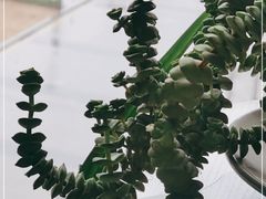 -潮上潮(南中环店)