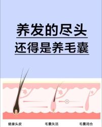 点击看大图 -Bollins波林丝•专研护发中心