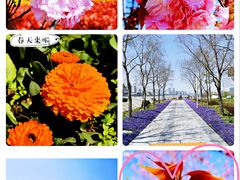 -上海山野camping·户外天幕烧烤·团建拓展营地