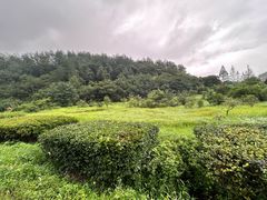 -方岩风景区