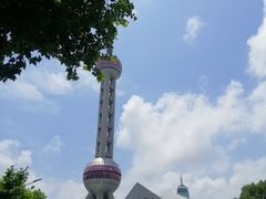 -上海海洋水族馆