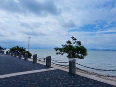 -深圳湾公园(南山区)