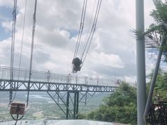 -呀诺达热带雨林