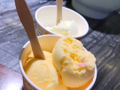 冰淇淋-匠岳·王宝器麻椒鱼(全国总店)