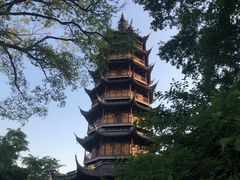 -红梅公园