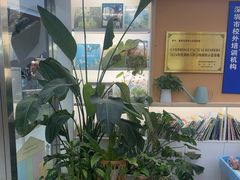 -安妮花英语·少儿·原版阅读(石厦时代广场店)