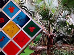 -呀路古热带植物园