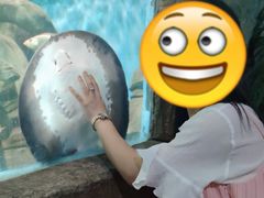 -苏州海洋馆