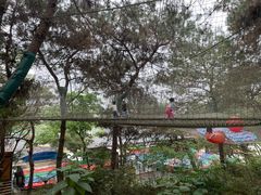 -芦仙山景区-飞越丛林探险乐园