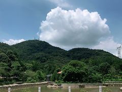 -广州市帽峰山景区