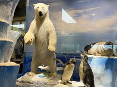 -国家自然博物馆