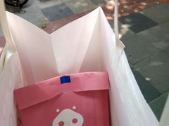 -WHEN PIGS FLY当猪飞