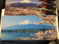 -富士山吉田線五合目